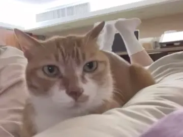🤣