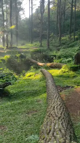 #mentahan#cmpinglife🏕️ #lembahpasirsumbul 