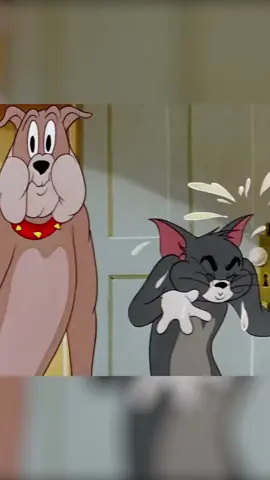 Wait, WHAT?!? #Tomandjerry #fyp #foryou #animation #viral 