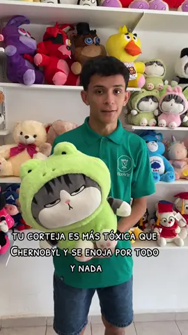 El peluche perfecto para la tóxica #gatolucifer #gatoenojado #peluches #viralbolivia🇧🇴🇧🇴🇧🇴🥰🥰🥰🥰😘😘😘😘 #regalodeamor 