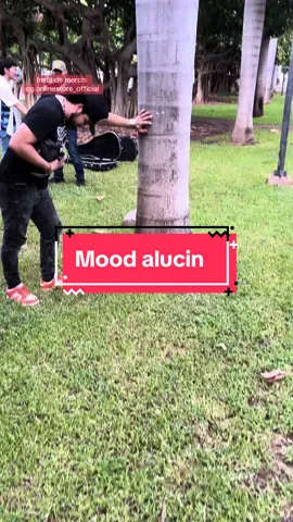 Cancion completa ( mood alucin ) #fyp #cln #alucines📿🧿🙈 #moodalucin 