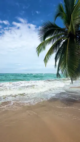 #puertoviejolimón🌴 #puntauvabeach🇨🇷🐚🌴costarica #caribecostarricense🇨🇷 
