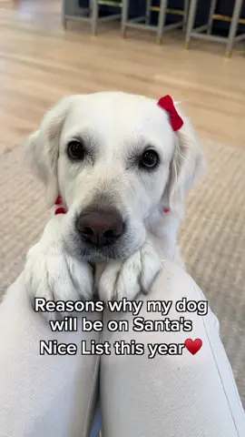 Goodest girl, yes🎀?! #babyanddog #goodgirl #goodsister #dogsoftiktok 