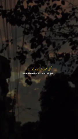 کِتنی مُحبت کرتے ہو مُجھ سے ! #foryoupage #foryou #spotifywrapped #maybeziddi #unfreeze #standwithkashmir #wintervibes #fypシ 