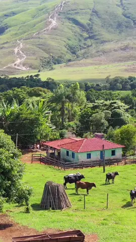 Linda Fazenda no vale da babilônia região rural de Delfinópolis mg! . . #FazendasAntigas #RaizesRurais #HistóriaNaTerra #EncantoRústico #AgriculturaTradicional #PassadoAgrário #HerançaCampestre  #SaudadesRurais #vidadefazenda #vidanocampo #roçacaipira #coisasdeinterior #vidanaroça #vidanarocaeassim #fotosnaroça #caipira #roça #casanaroça #sertanejo #fazenda #agro #sertao #jeitodomato #vidanocampo 