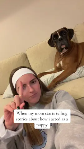 He’s a good boy now 🐶  #brunotheboxer #dog #boxersoftiktok #dogsoftiktok #travel #christmas #jail #puppy #prison #goodboy 