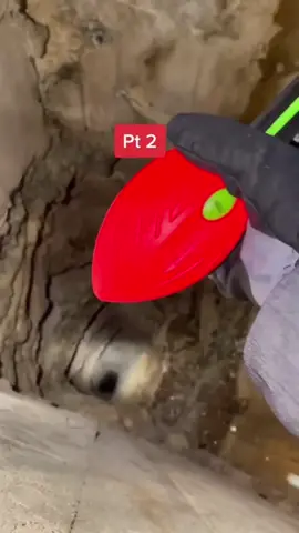 Dropping things from high places 🤩 #satisfyingvideo #fyp #satisfy 