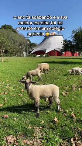 muitas experiências incriveis nesse colégio🫶🏻#foryoupage #agropecuaria🤠 #colegioagricola #newtonfreiremaia 