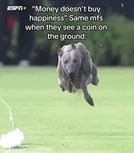 Metro boomin make it boom #meme #joke #funny #relatable #dog #fyp #foryoupage #viral #xcyzba #fypシ 