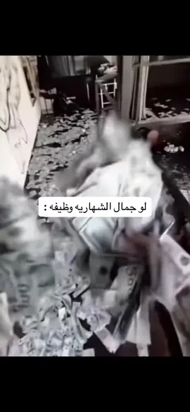 #بني_شهر #fyp #🤎  ناخذ العععععقل!!