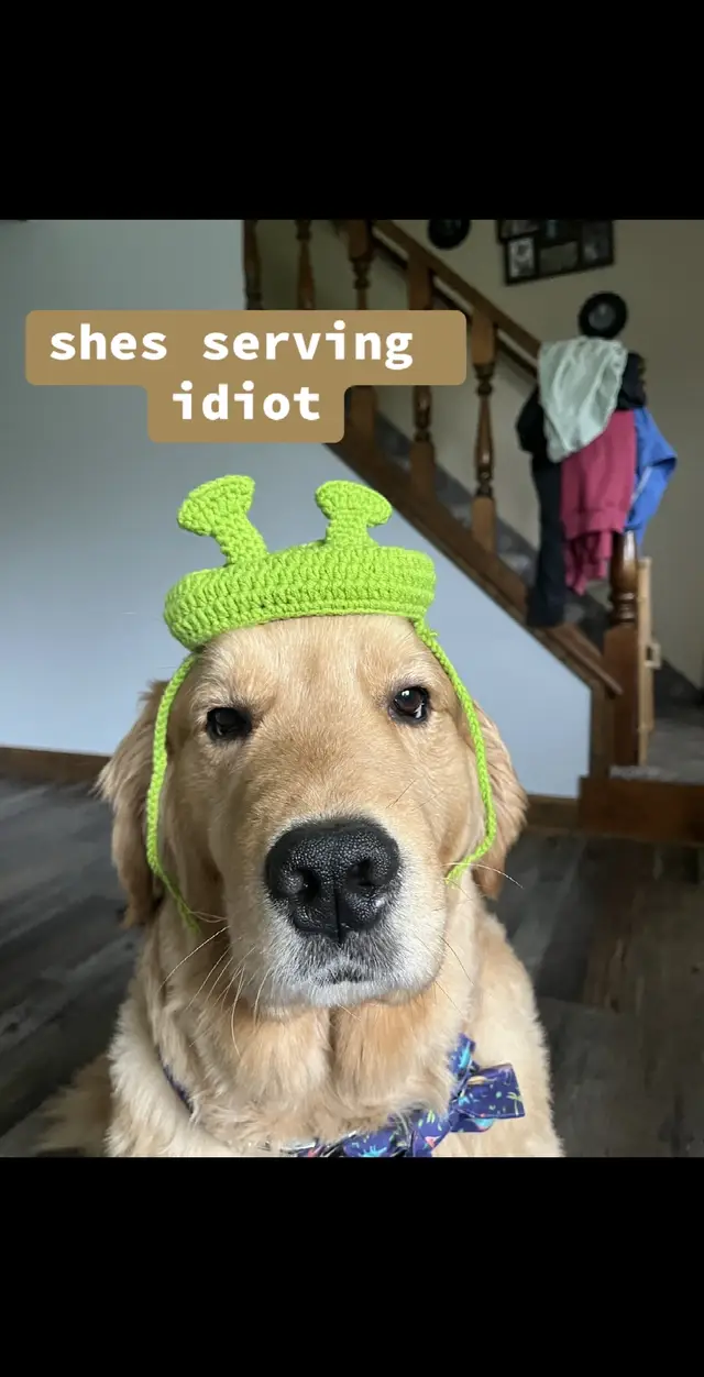 scanny 🧸🎀✨💕