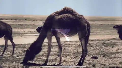 𝐁𝐀𝐓𝐓𝐋𝐄 𝐎𝐅 𝐄𝐋-𝐀𝐋𝐀𝐌𝐄𝐈𝐍 #ww2edit #edits #fypシ゚viral #foryoupage #ww2 #freepalestine #educationalpurposesonly⚠️ #educationalpurposesonly⚠️ 