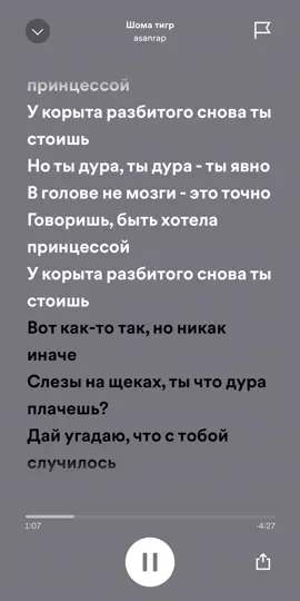Вот как то так)#шоматигр #asanrap #spotify #withlovestarrr #спотифай #кайратнуртас #кайрош #музыка 