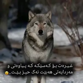 تەنها غیرەتو مەردایەتی .😉شتی ڕاقی ئەکتیڤ نابێت.🤨#@TikTok acc.❤#تـکـایـە_فـۆلـۆ_و_لایک_و_کـۆمـێنت_بکـەن #ئـەکـتـیـڤ_سـفـرە #ئەکتیڤبن🥀🖤ـہہـ٨ــہ 