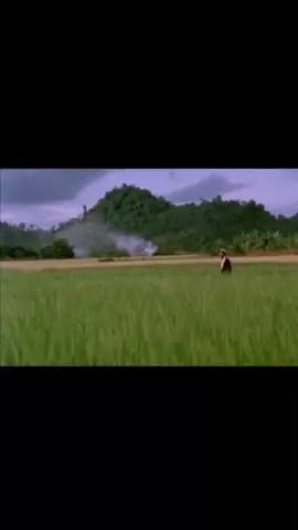 những video màu được phục dựng về Bác Hồ #báchokinhyeu❤️❤️ #vietnamtoiyeu #lịchsửviệtnam #viêtsukieuhung #báchochiminh #lịch_sử_đất_việt #xh#xyzbca#xuhuong #anhhungdantocvietnam 