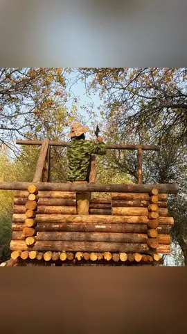 Build a Log House in the Autumn forest part 1 #bushcraft #shelter #build #building #outdoor #survival #giant #dugout #logcabin #snowstorm #winter #Outdoors #foryou #bushcrafting #camping #abandoned #viralvideo #camp 
