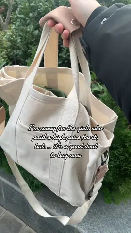 🔥🔥#fallfashion #fypシ゚viral #goodthing #bag #foruyou 