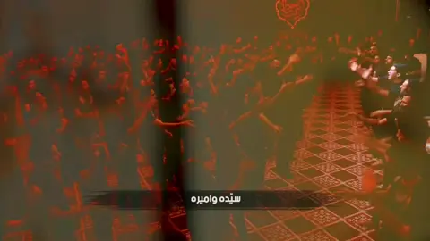 #علي_الوائلي_الكربلائي #ليالي_الفاطميه #اللهم_عجل_لوليك_الفرج #313 #ياعلي #ياحسين #يامهدي 