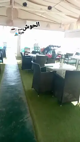 #جربة_البية🌹💐 #مدنين🧡💛📍_جرجيس_بنڨردان_🧿جربة_بنخداش #قابس_الحب❤️❤️❤️ #تطاوينية_و_افتخر🔥💯 