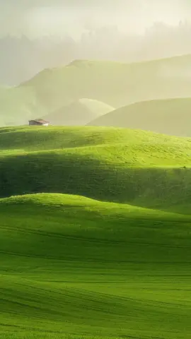 No copywriting, only beautiful scenery #nature #scenery #beautifull #beauty #foryou #fyp #cure #f #XinJiang 
