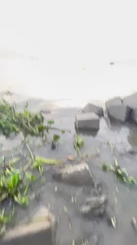 🥺💖#view #foryou #fyppppppppppppppppppppppp #unfrezzmyaccount #yeasintopu #bdtiktokofficial🇧🇩 #chandpur1 #capcut #viral #treanding #videography #astethic #chandpurborostation 