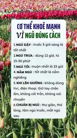 Ngủ đúng cách để cơ t.hể khỏe mạnh hơn mỗi ngày. #meodangian #meohay #suckhoe #songkhoemoingay #kienthucthuvi #chuabenhtainha #xuhuong 