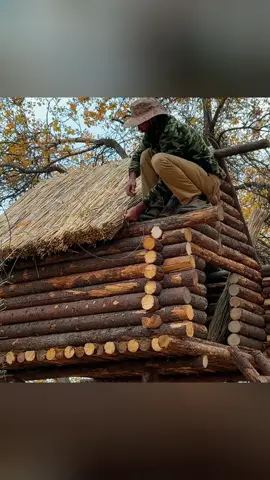 Building a Log House in the Autumn part 2 #bushcraft #shelter #build #building #outdoor #survival #Outdoors #camping 