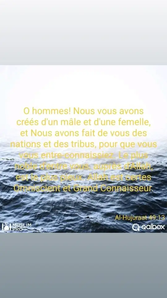 #musli #mayotte976🇾🇹🌴🤣foryoupage#soeurmuslim#rappelislam#laparoledallah 