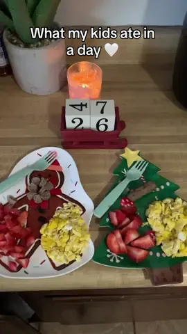 Very realistic for us we are a regular middle class family & do what we can 🫶🏽  #Lifestyle #motherhood #MomsofTikTok #momtiktok #momtok #momtoks #whatmykidseatinaday #toddlerbreakfast #babybreakfast #toddlerlunch #toddlerlunchideas #babylunchideas #fyp #trending 