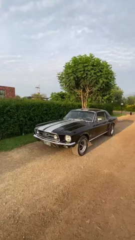 Ford Mustang 🔥| 🎥 #Supercar #Cars #Viral #TikTokVideo #Modified #International #Luxury #DREAMCAR #CLSCARS #classiccars10