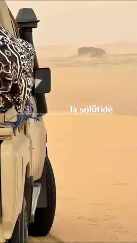 #sahara #desert #tenere🏜️ 
