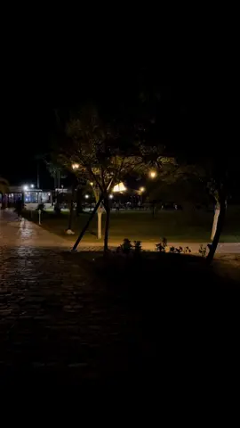 #carthage #tunisia🇹🇳 #nightvideo 