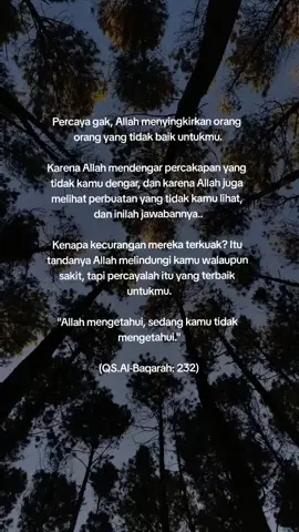 Secara tidak langsung firasatmu adalah petunjuk dari Allah. karena sering kali mereka hanya terlihat baik didepan matamu.🙏 #selfrimender #fyp #katakata #quotesislamic🥀 #albaqarah232 #pakailogika #krlaiiinopqrstuvwxyz 