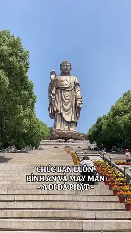 Nam mô a di đà phật #phatphapnhiemmau 