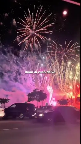 Tết là Tết đã về 🧧🧨🎇 #tetnguyendan2024 #tetgiapthin2024 #tet2024 #nhactet2024 