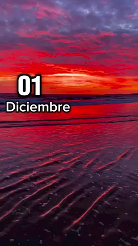 #1 #diciembre #🎄 #buenosdias #❤️ #viralvideo 