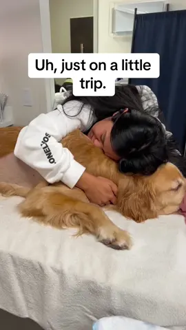 Stay strong! Crying over this order☹️❤️‍🩹🐾 #dogsoftiktok #dogloss #petloss #doglover #doggo #petgrief 