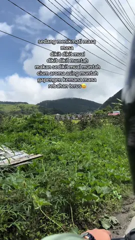 nikmatnya🥰 #trimester1 #bumilsehatbayisehat🤰♥️😘😘 #fyp 