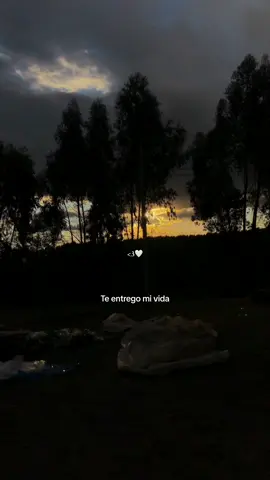 💘#fyp #paratii #viral #fyppppppppppppppppppppppp #videosbonitos #🤍 