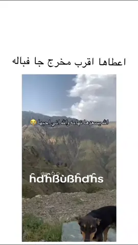 #الشعب_الصيني_ماله_حل😂😂 #fyp #fypシ #اكسبلور 