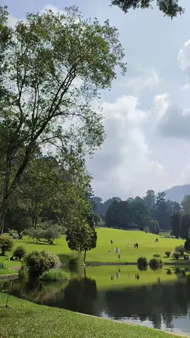 MasyaAllah 😇 #pemandangan #kebunrayacibodas #fyp 