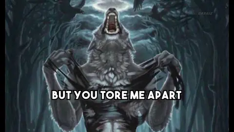 what month is it? #lastchristmas #christmas #alphawolf #chusoicodoc