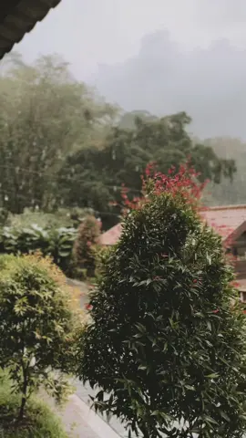 #bulandesember Apa yang harus kalian punya di akhir tahun ini?