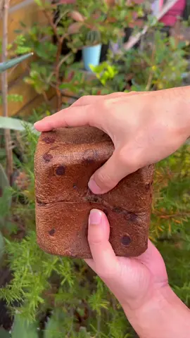 12月15日から期間限定で販売！東京や大阪を中心に店舗があるのでぜひご購入ください！ 期間の詳細は 12/15〜12/25 #嵜本ベーカリー  #嵜本珈琲  #難波カフェ  #大阪パン屋