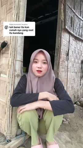 Membalas @revalina kadang tanpa kalian sadari ketikan kalian itu bikin sakit hati 🙂 #heyhest #heyhestcantik #mentahan #fyp 