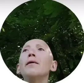 #васильев #булочка 