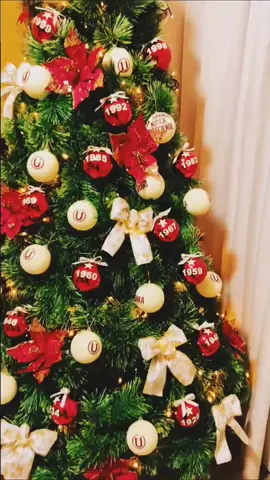 Que la luz de la pasión crema ilumine nuestras celebraciones. ¡Feliz Navidad, recordando tantas alegrías y tantos campeonatos obtenidos, como regalos que marcan nuestra grandeza en la historia! 🎄✨#navidadcrema2023 #universitario #arboldenavidad 
