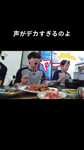 イヤホン非推奨 #straykids #ストレイキッズ #스트레이키즈 #バンチャン #リノ #チャンビン #ヒョンジン #ハン #フィリックス #スンミン #アイエン 