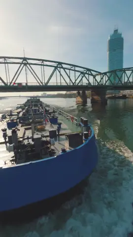 🚁💨 @littlewingfpv (IG) flying at the river! 🎛️✂️ @aufmschlau.ch  📺▶️ @blacksheepfpv for more videos! #teamblacksheep #drone #fpv #cinematic #flying