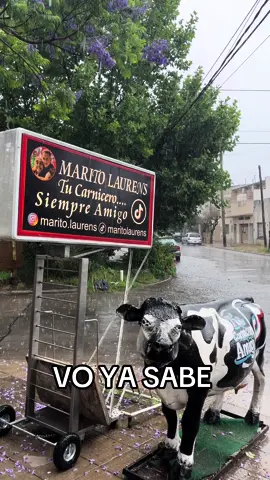 #tucarniceroamigoml #maritotip #aprendeacomprarconmarito #consejosmaritolaurens #messirviodalelike #loqueelcarnizanoquierequesepas 